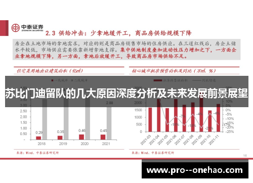 苏比门迪留队的几大原因深度分析及未来发展前景展望