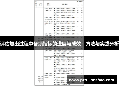 评估复出过程中各项指标的进展与成效：方法与实践分析