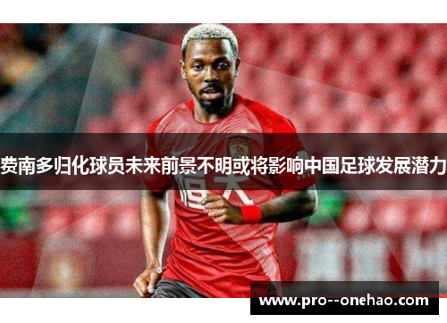 费南多归化球员未来前景不明或将影响中国足球发展潜力