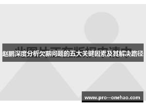 赵鹏深度分析欠薪问题的五大关键因素及其解决路径 赵鹏深度分析欠薪问题的五大关键因素及其解决路径