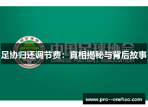 足协归还调节费:真相揭秘与背后故事 足协归还调节费:真相揭秘与背后故事