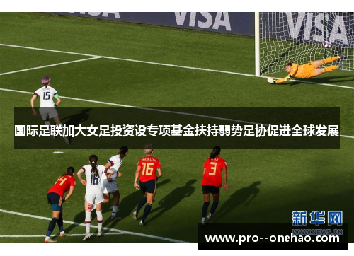 国际足联加大女足投资设专项基金扶持弱势足协促进全球发展 国际足联加大女足投资设专项基金扶持弱势足协促进全球发展