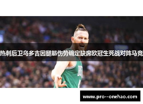 热刺后卫乌多吉因腿筋伤势确定缺席欧冠生死战对阵马竞