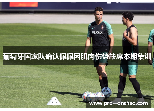 葡萄牙国家队确认佩佩因肌肉伤势缺席本期集训