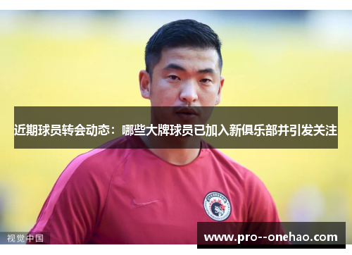 近期球员转会动态：哪些大牌球员已加入新俱乐部并引发关注