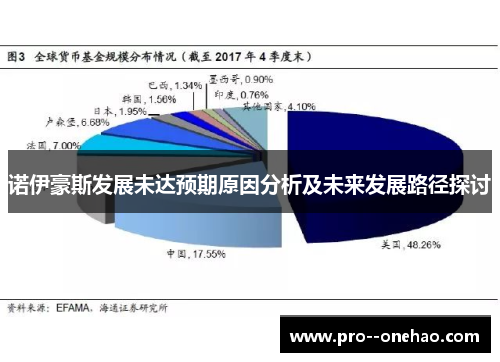 诺伊豪斯发展未达预期原因分析及未来发展路径探讨 诺伊豪斯发展未达预期原因分析及未来发展路径探讨